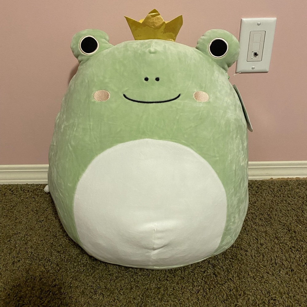 Baratelli Squishmallow Frog!